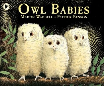 Owl Babies Owl Babies