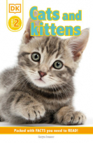 Cats and Kittens book cover.  Picture of a kitten with stripey light grey fur and pale green eyes.