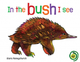In the Bush I See