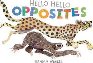 The book cover is white with the words “Hello Hello Opposites” written across the top, with “Opposites” in bold multicoloured font. Below the title are illustrations of a cheetah and a sloth.